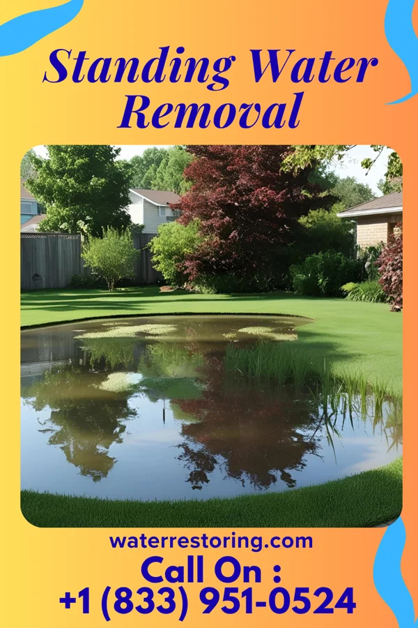 Standing Water Removal in Caneyville, KY